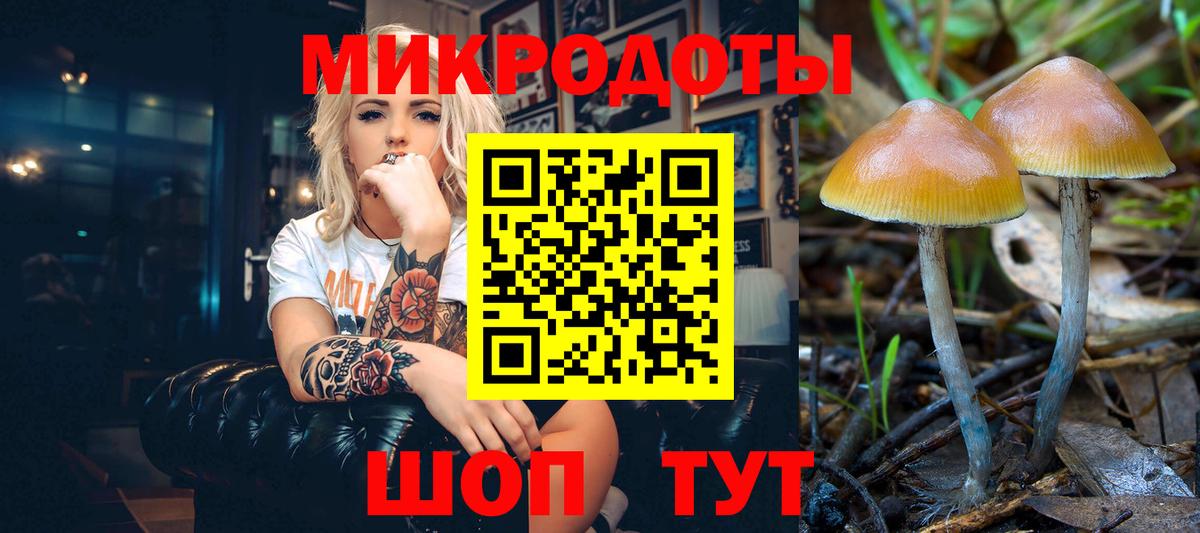Псилоцибиновые грибы прущие грибы  Вход с VPN  Ирбит 