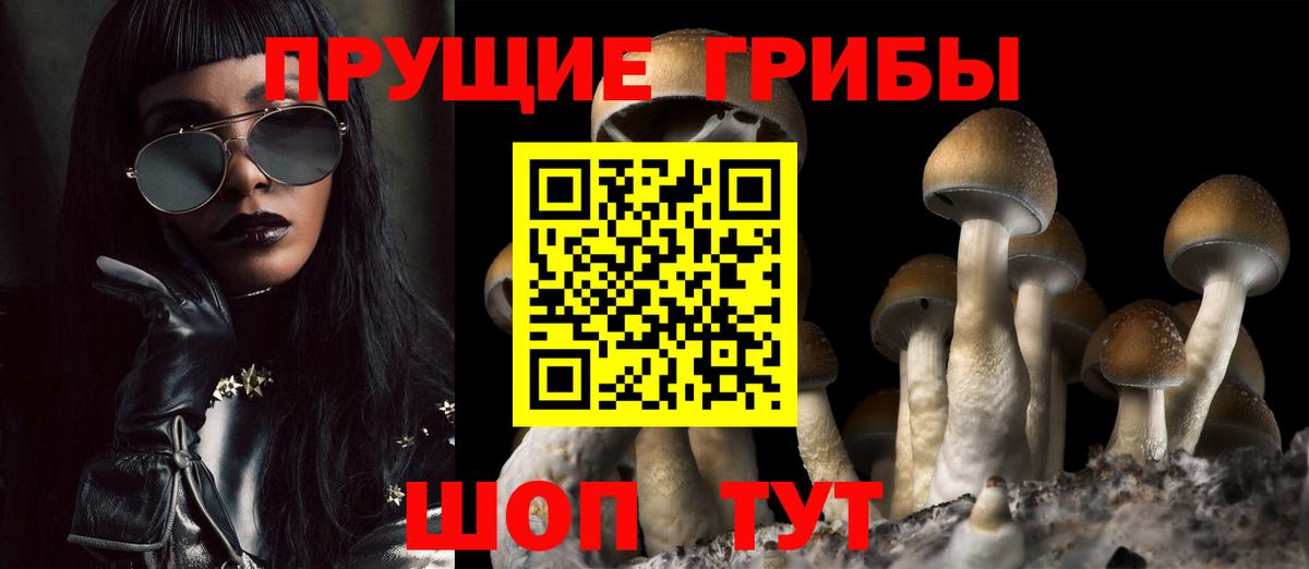 Галлюциногенные грибы ЛСД  Ирбит  Галлюциногенные грибы мухоморы 